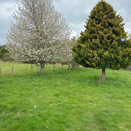 Campo, Tranquilidad, Relax Y Buenos Paisajes Villa Osorno Bagian luar foto