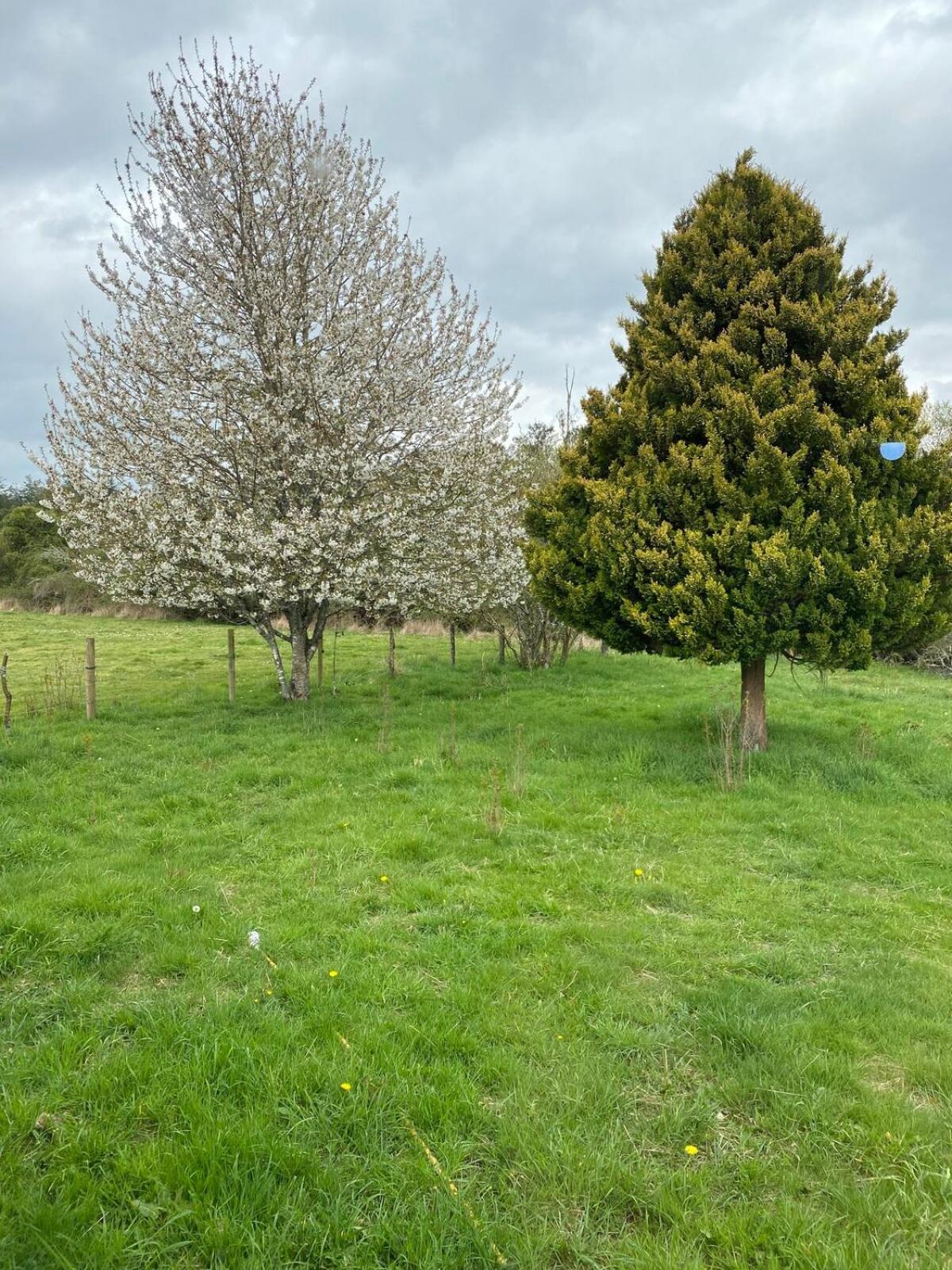 Campo, Tranquilidad, Relax Y Buenos Paisajes Villa Osorno Bagian luar foto